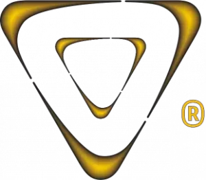 EWO Academy - Logo goud
