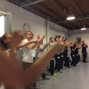 EWO Volwassenen Kung Fu - Header