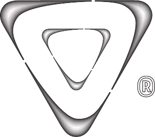 EWO Kung Fu Academy Enschede - Logo Platinum